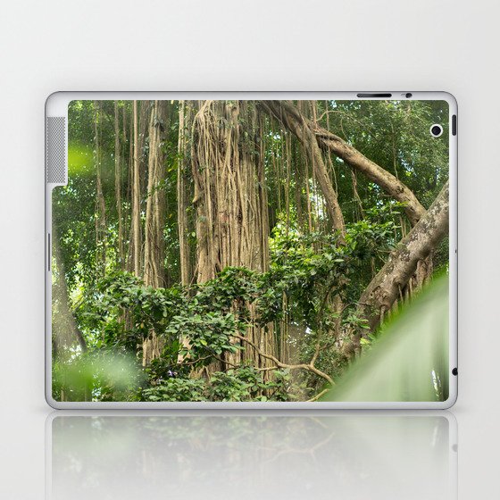 Brazil Photography - Tall Tropical Trees In The Rain Forest Laptop & iPad Skin