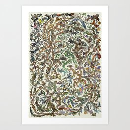 Evolution Poster - Tree of Life - Colour Art Print