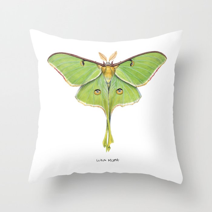 Throw Pillow