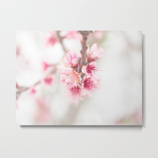 Spring blossom Metal Print