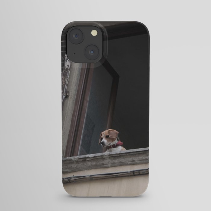 take me with you _ Beagle in a window iPhone Case