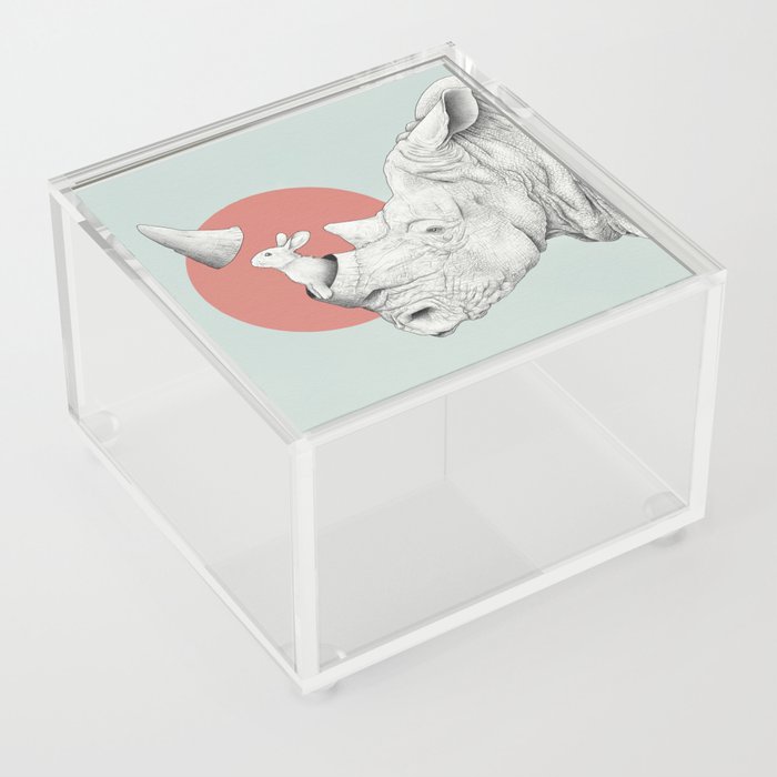 Rhino and Bunny Acrylic Box