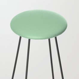 Pastel Mint Green Solid Color - Pairs with Valspar America Green Vibe Patel Green 6002-7B Counter Stool