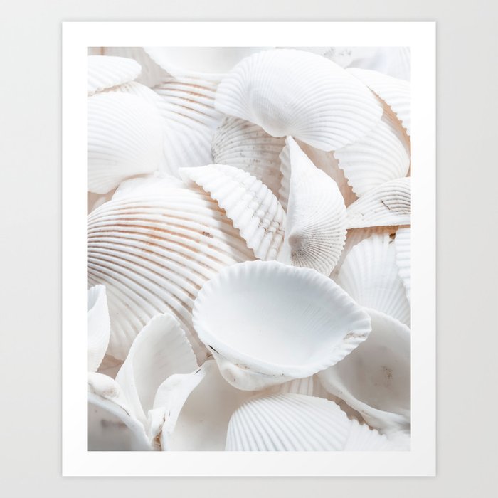 White Sea Shells by the Ocean Art Print