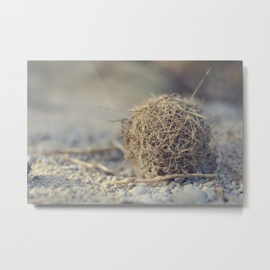 Washed Ashore Metal Print