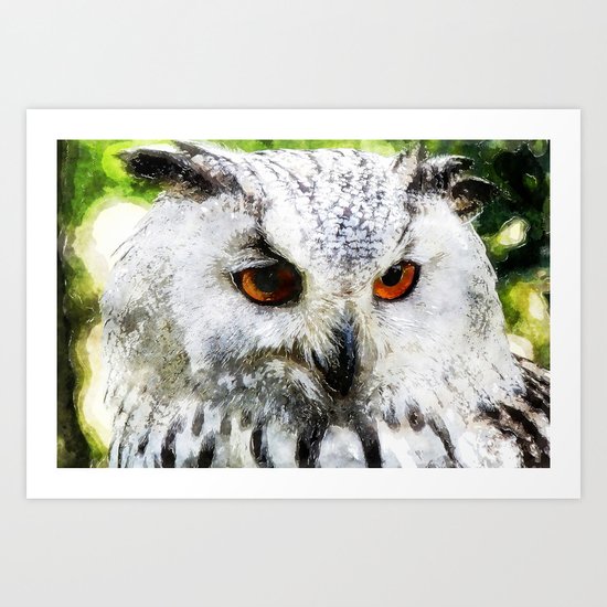 Owl Animal Bird Watercolor Illustration Art Print