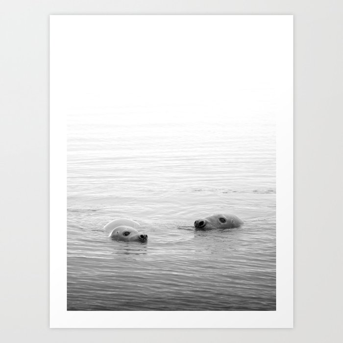 Swimming seals | Sea | Wildlife and nature photography in black and white Art Print