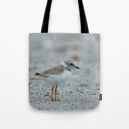 Avian - Piping Plover Chick 1 Tote Bag