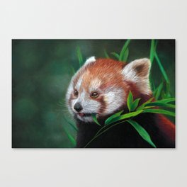 Red Panda, A Realistic Pastel Artwork Canvas Print