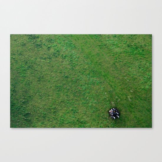Cow Canvas Print