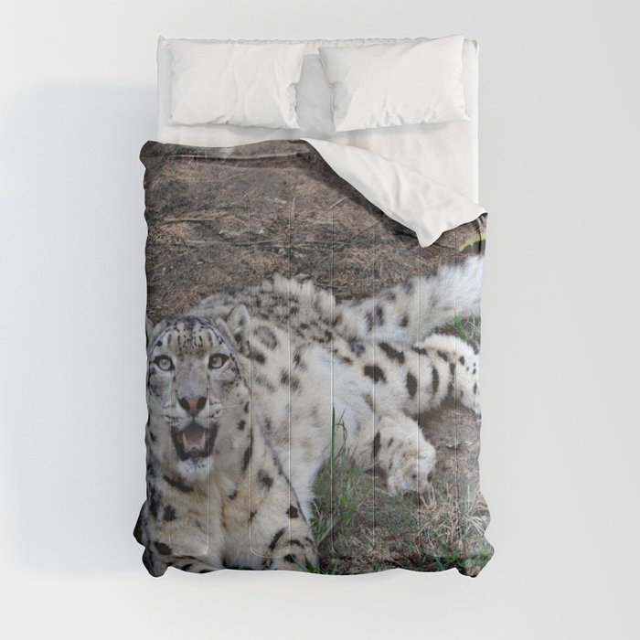 Snow Leopard Comforter