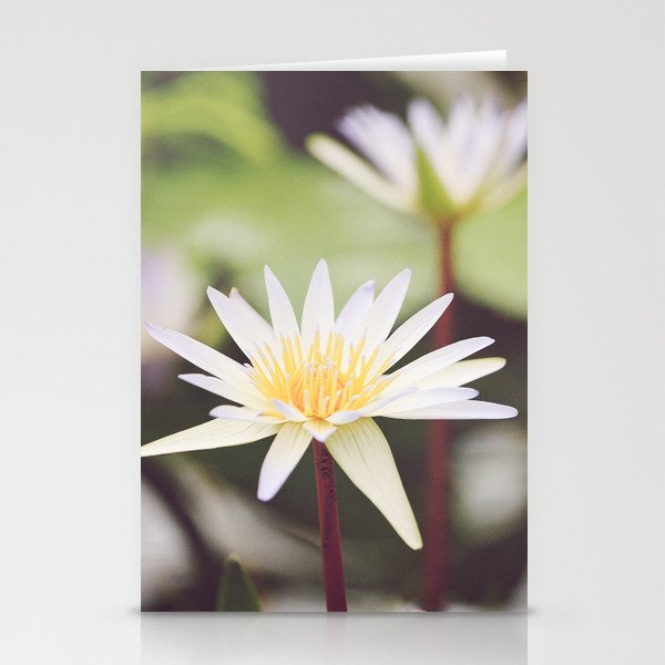Water Lilies Stationery Cards