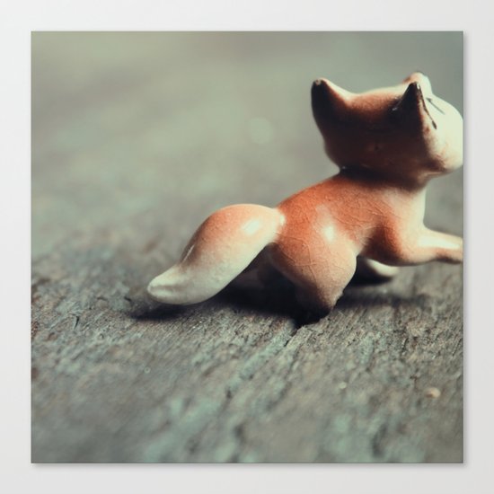 Fox Tail Canvas Print