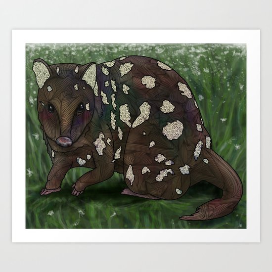 Quoll Art Print