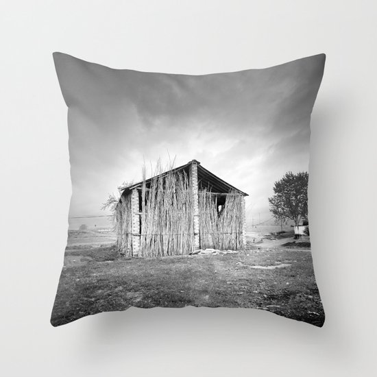 Old dryer tobacco Throw Pillow