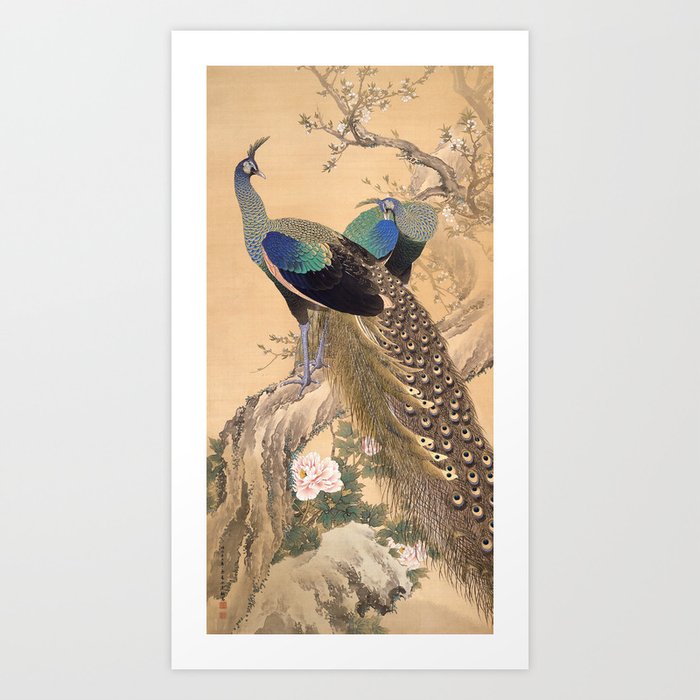 Beautiful Peacocks on Real Antique Dictionary Book Pages, Wall Decor  Picture