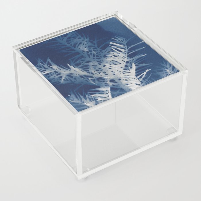 Jackie Partridge Art - Pine Branch Cyanotype Acrylic Box