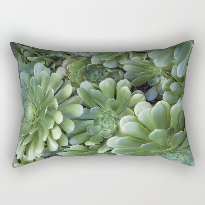 Succulents in Green Rectangular Pillow