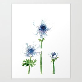 White Anemone flower Painting Blue Abstract Watercolor Art Print