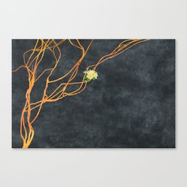 Florescentia | Gold on a Vine Canvas Print