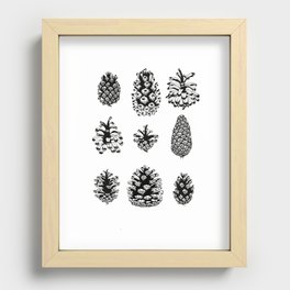 Pinecone study Recessed Framed Print