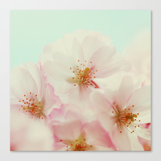 Jardin Canvas Print