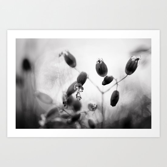 Light shimmers through Art Print