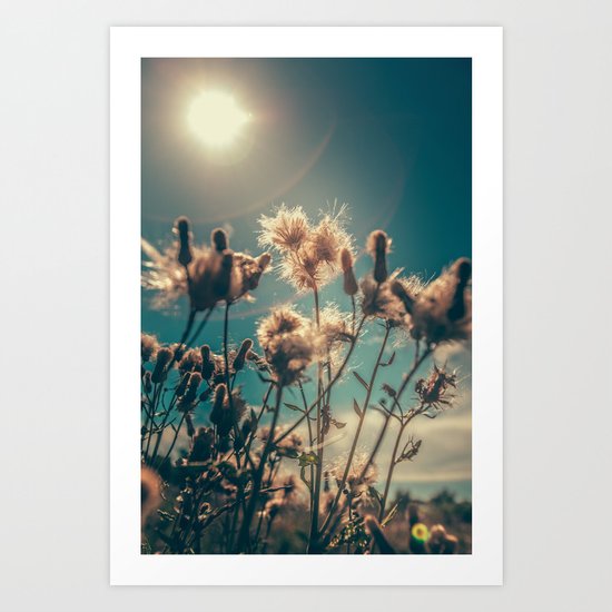 Blossom Art Print