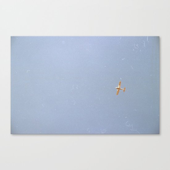 plane Canvas Print