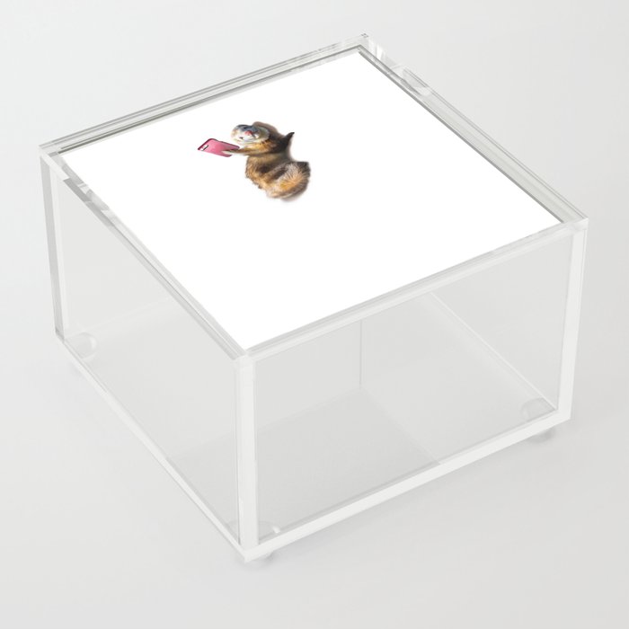 Smiling Ferret Selfie Funny Acrylic Box