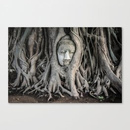 Buddha Canvas Print