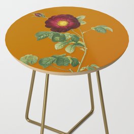 Vintage Rose Botanical Illustration on Bright Orange Side Table