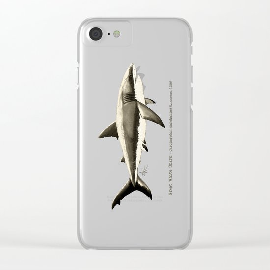Carcharodon carcharias II ~ Great White Shark Illustration by Amber Marine Clear iPhone Case