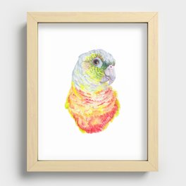 Green Cheeked Conure - bird watercolour Recessed Framed Print