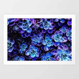 Succulent Garden Turquoise Purple Art Print