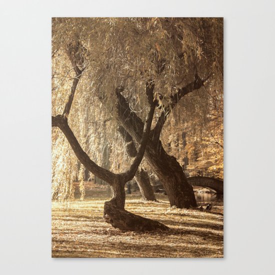 Golden branches Canvas Print