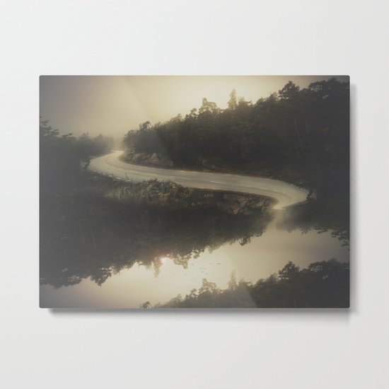 Road of life Metal Print