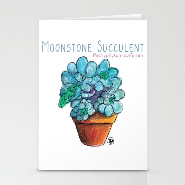 Moonstone Succulent Stationery Cards
