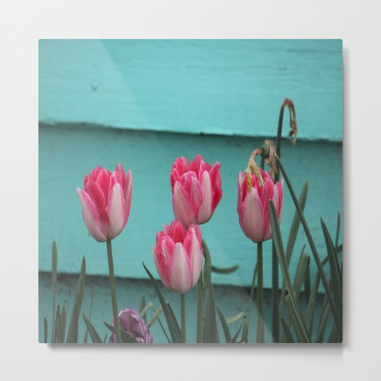 Tulips Against The Wall Metal Print