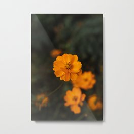 Flowers Metal Print