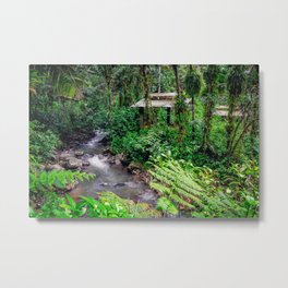 Rainforest Metal Print