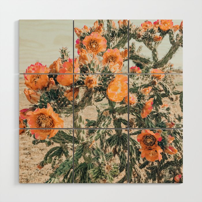 Cholla, Orange Flowering Cactus Wood Wall Art