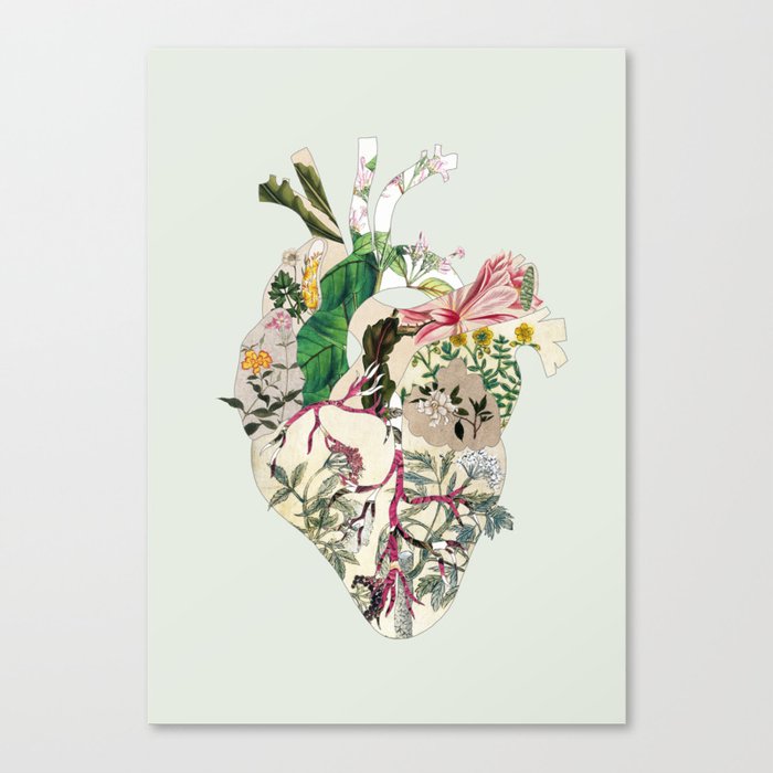 Vintage Botanical Heart On Green Canvas Print