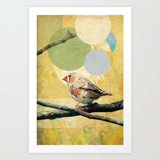 Bird Song Art Print