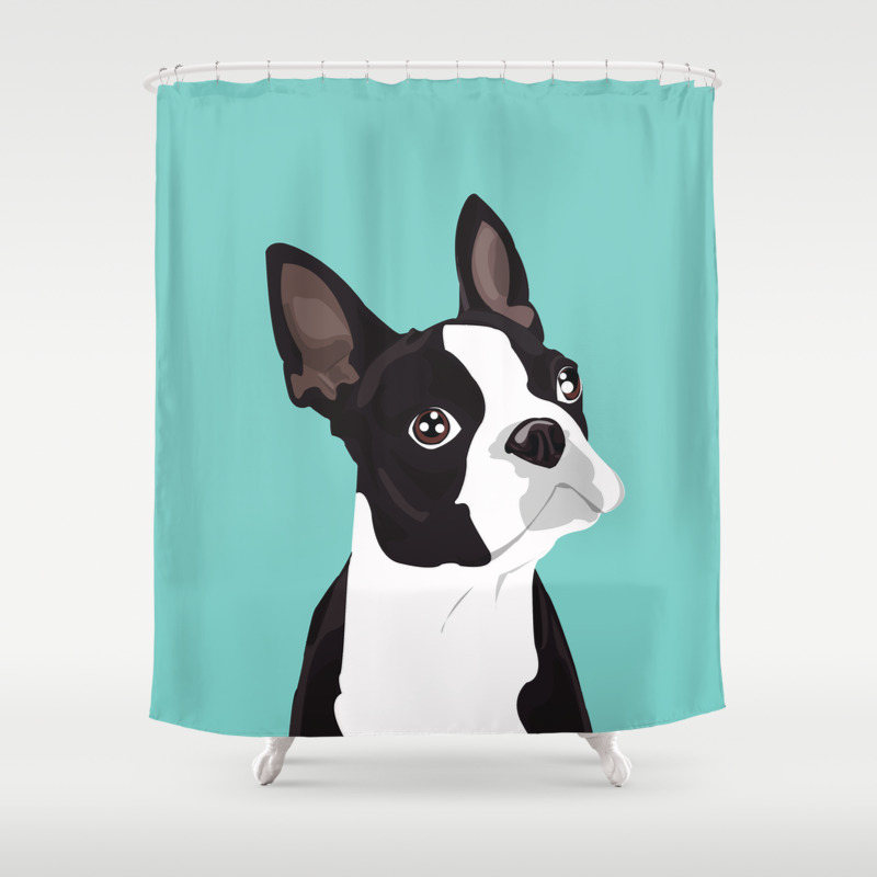 Boston Terrier Portrait Blue Shower Curtain By Sianmurrayart