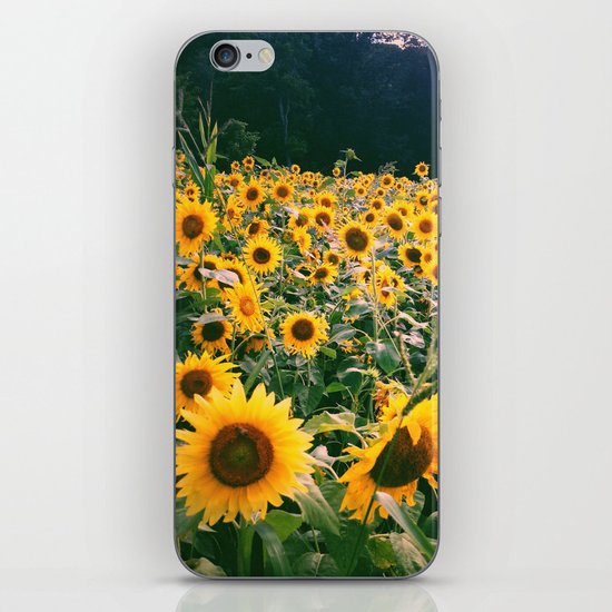 Gather iPhone & iPod Skin