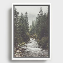 Mountain creek - Landscape and Nature Photography Framed Canvas