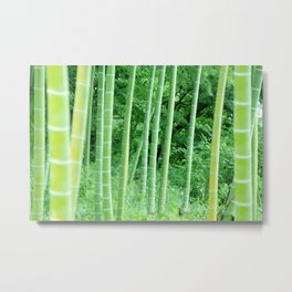 Japanese Bamboo Forest Photography Metal Print | Traditional, Green, Bamboo, Young, Photo, Forest, Tree, Japanese, Nature, Mistical 