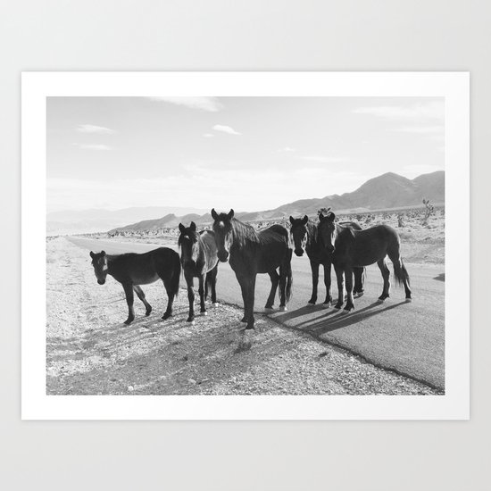 Cold Creek Horse Crew Art Print