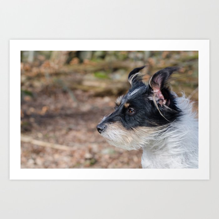 Dog In The Wind Art Print By Annikaerixon